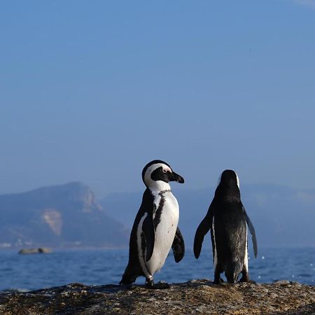 Penguin Haven . Luxury 2 Bedroom, Boulders Beach. Cape Town Bagian luar foto
