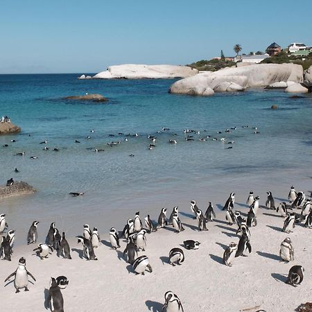Penguin Haven . Luxury 2 Bedroom, Boulders Beach. Cape Town Bagian luar foto